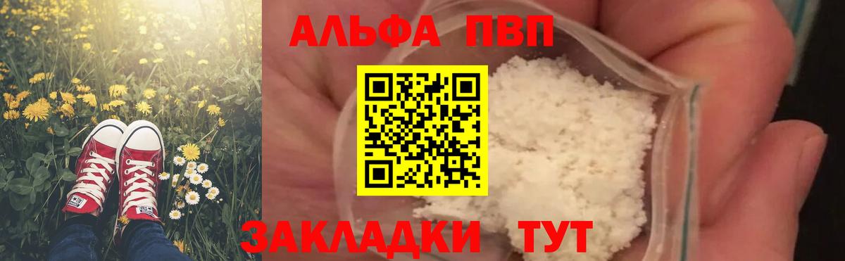 Alfa_PVP СК Тара