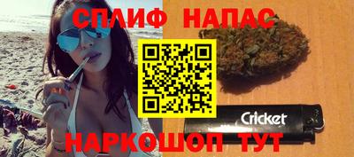 крисы Ставрополь