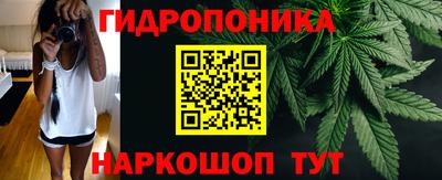 крисы Ставрополь