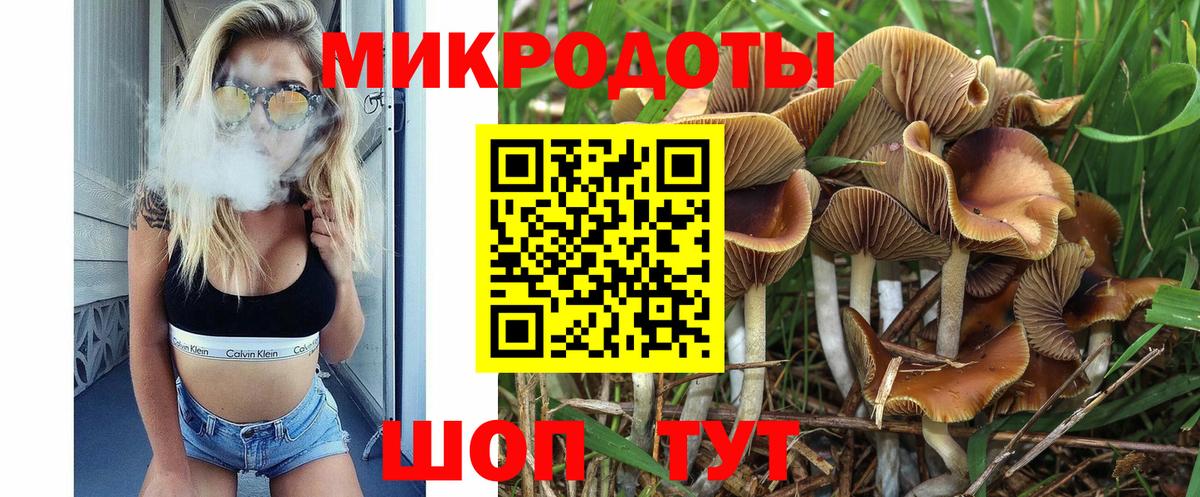 Псилоцибиновые грибы Psilocybe  Вход с VPN  Тара  Псилоцибиновые грибы GOLDEN TEACHER 