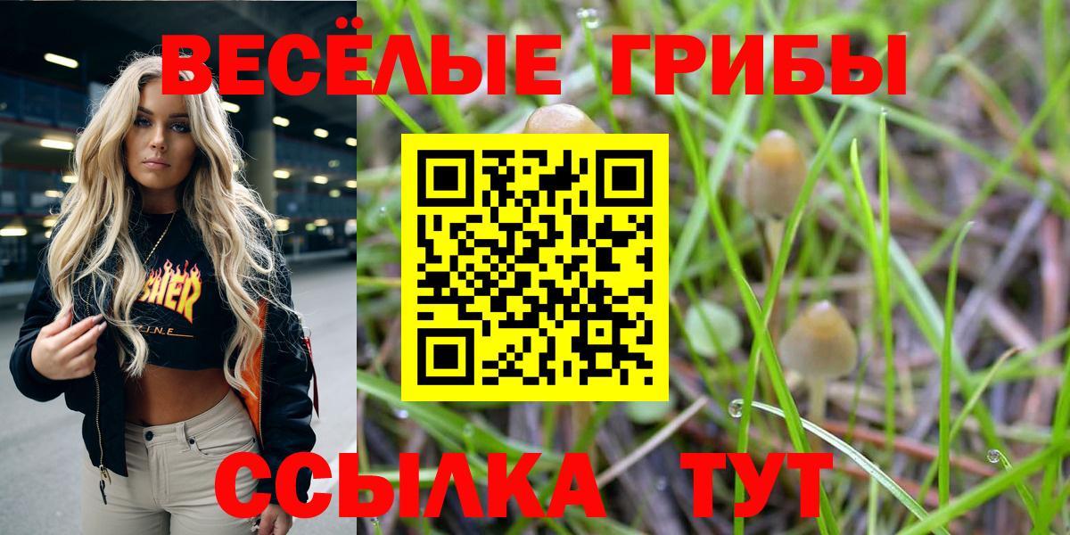 Псилоцибиновые грибы ЛСД Тара